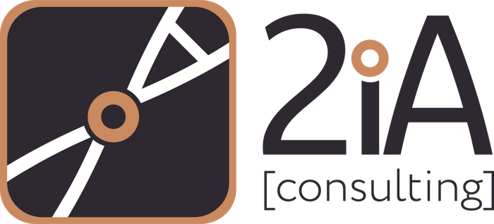 2iA Consulting — visitar site